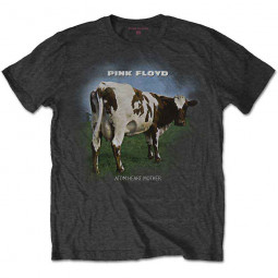 PINK FLOYD - ATOM HEART MOTHER FADE - TRIKO