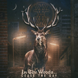 IN THE WOODS - OMNIO - CD